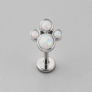 Dog Paw White Opal CZ Labret - Titanium - Camden Body Jewellery