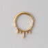 Venom Drip Segment Hoop in Gold - Titanium - Camden Body Jewellery