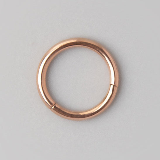 Segment Ring in Rose Gold - Titanium - Camden Body Jewellery