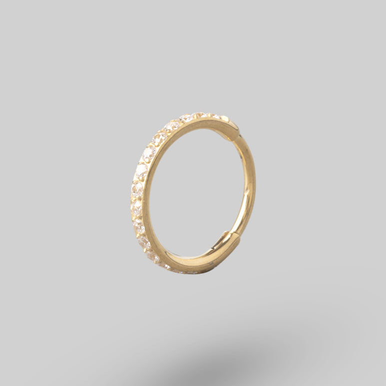 Clicker Pin Segment Ring Side Face Clear CZ in Gold - Titanium