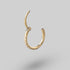 Clicker Pin Segment Ring Side Face Clear CZ in Gold - Titanium - Camden Body Jewellery