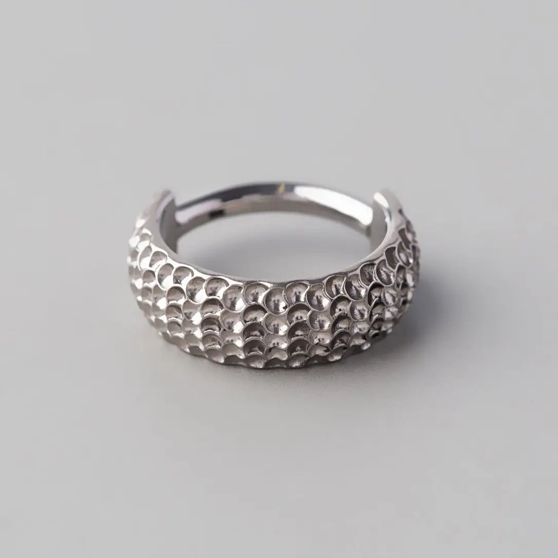 Hinged Segment Ring Large Bump Cut - Titanium - Camden Body Jewellery