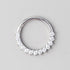 Hinged Segment Hoop Ring Prong Set CZ - Titanium - Camden Body Jewellery