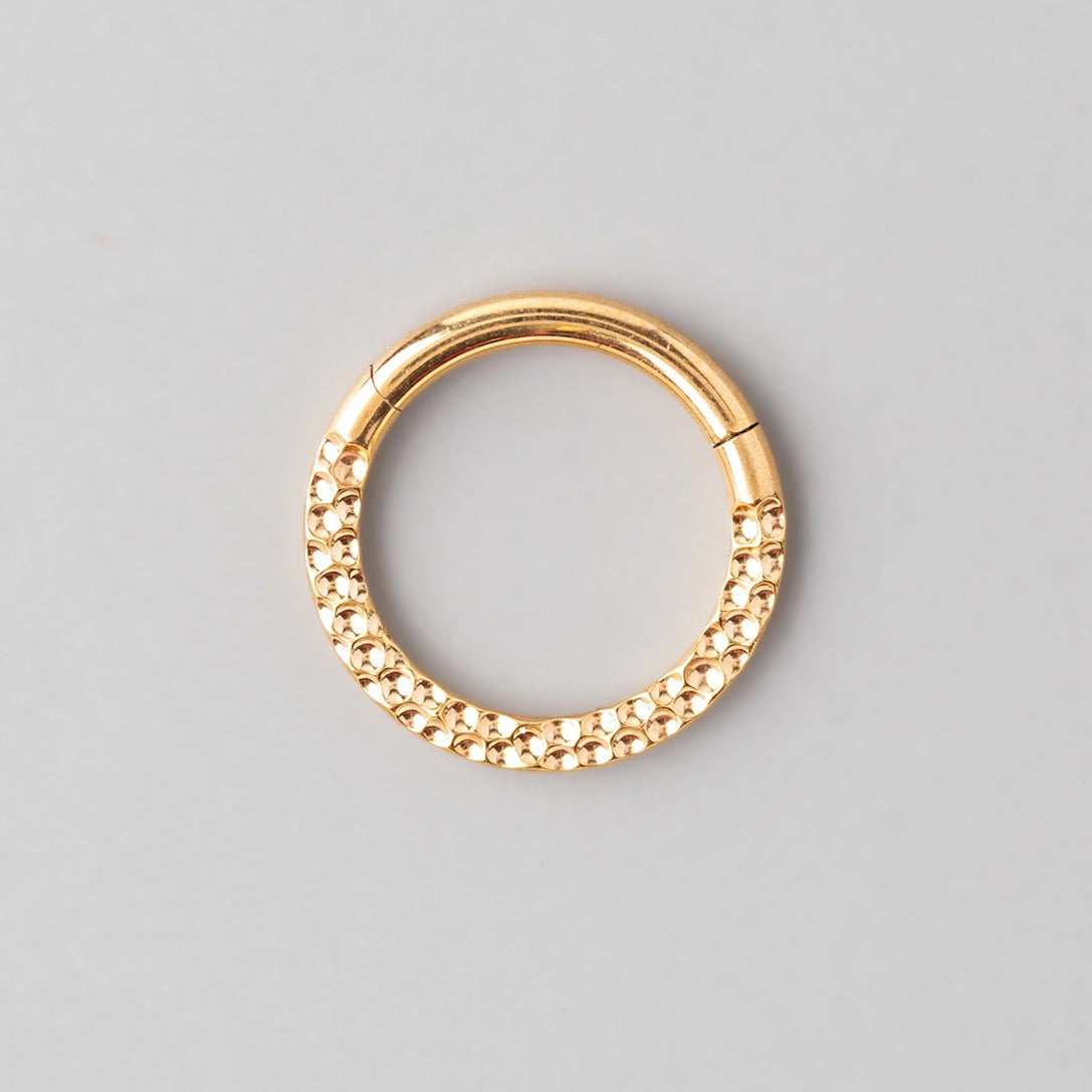 Front Face Cut Hinged Segment Ring in Gold - Titanium - Camden Body Jewellery