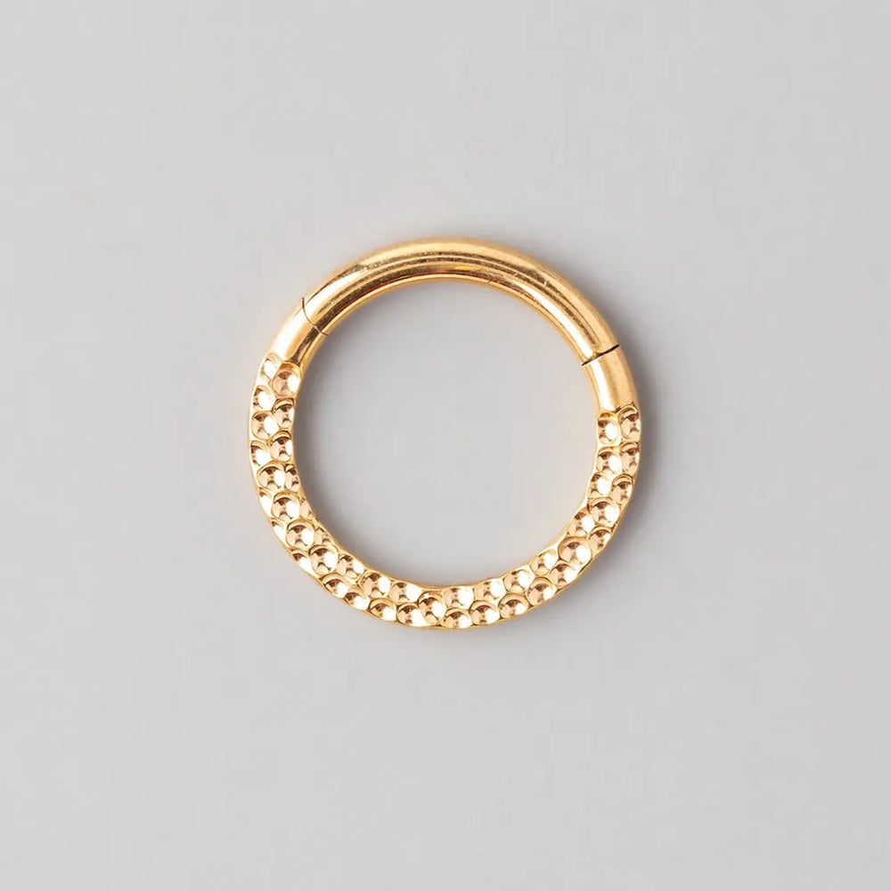 Front Face Bump Cut Hinged Segment Ring in Gold - Titanium