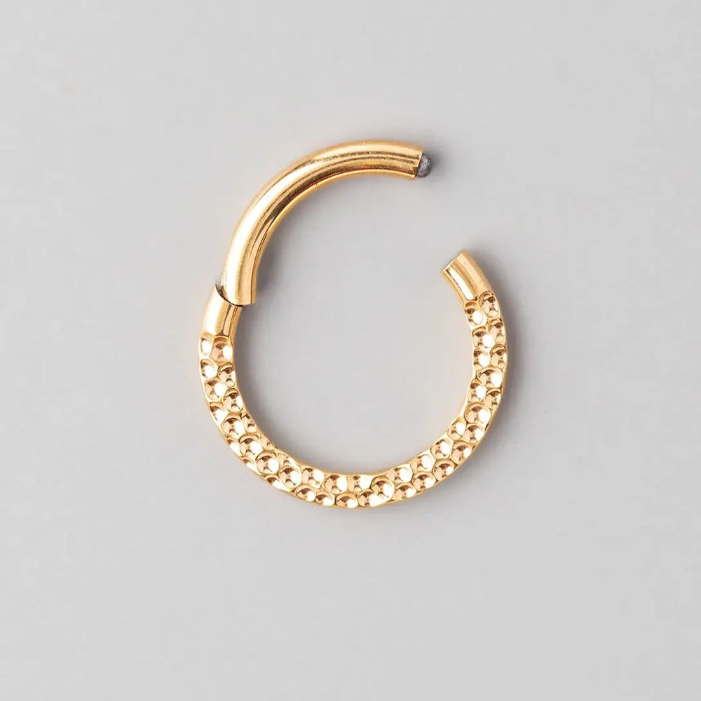 Front Face Bump Cut Hinged Segment Ring in Gold - Titanium