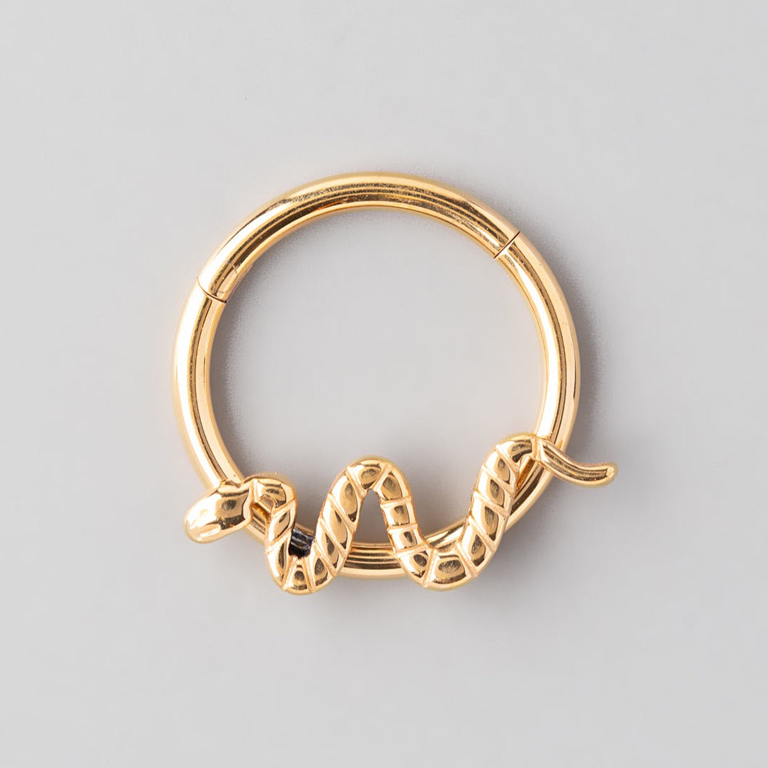 Hinged Segment Ring Snake in Gold - Titanium - Camden Body Jewellery