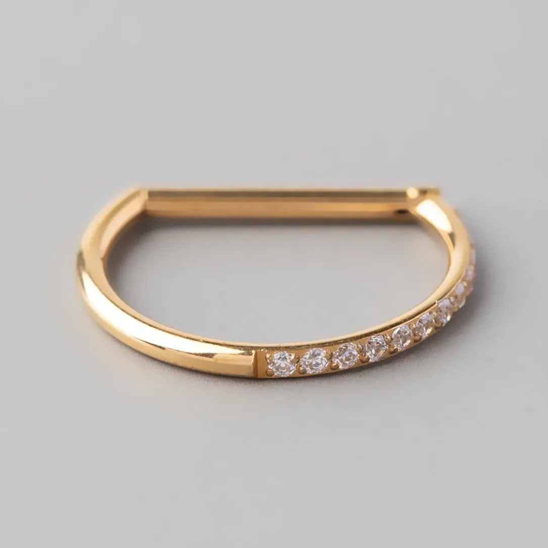 Hinged Segment Ring D Shape Half Side CZ Paved in Gold - Titanium - Camden Body Jewellery