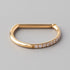 Hinged Segment Ring D Shape Half Side CZ Paved in Gold - Titanium - Camden Body Jewellery