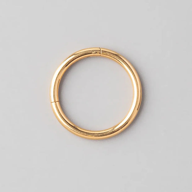 Titanium - Segment Ring in Gold – Camden Body Jewellery