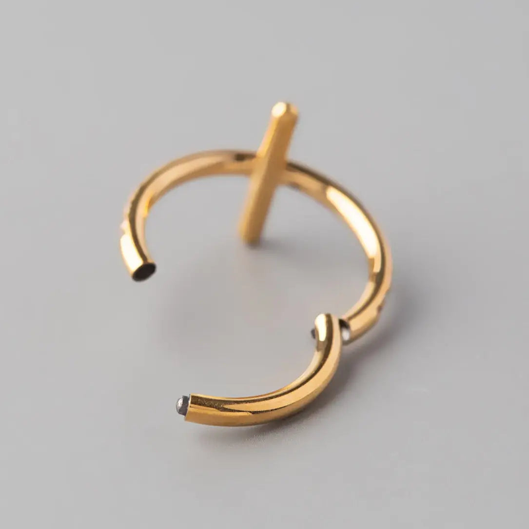 Hinged Segment Ring CZ Pave Side Cross in Gold - Titanium - Camden Body Jewellery
