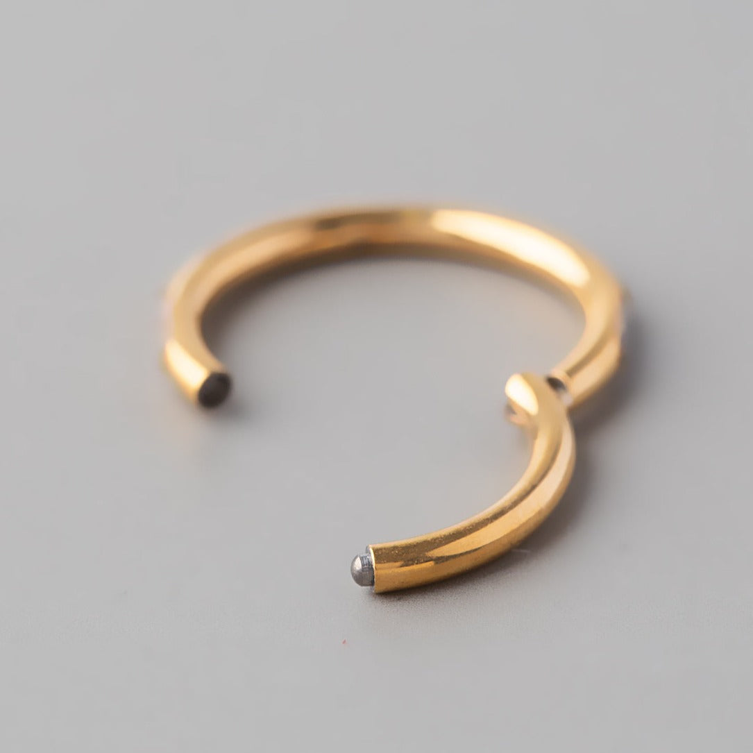 Hinged Segment Ring Blaze Oblong CZ in Gold - Titanium - Camden Body Jewellery