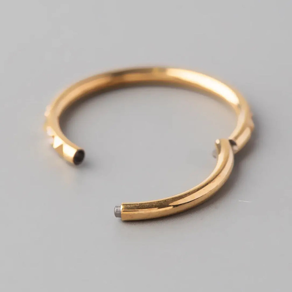 Hinged Segment Ring Square Cut CZ Side Face in Gold - Titanium