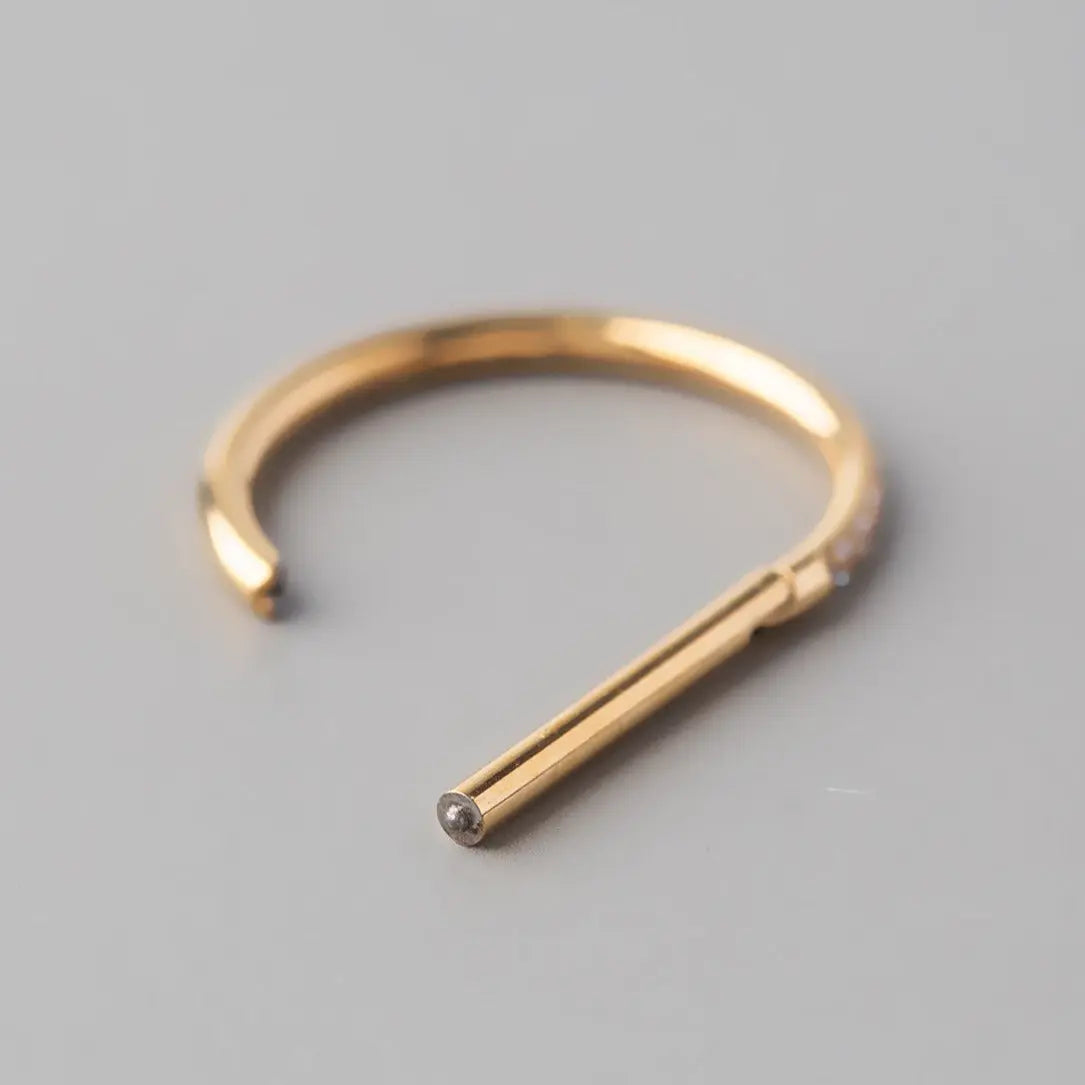 Hinged Segment Ring D Shape Half Side CZ Paved in Gold - Titanium - Camden Body Jewellery