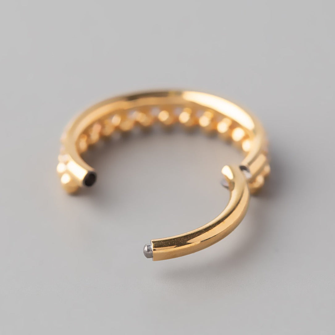Hinged Segment Ring Paved Side with Balls Weld in Gold - Titanium - Camden Body Jewellery