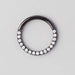 Hinged Segment Ring Front Face CZ in Black - Titanium - Camden Body Jewellery