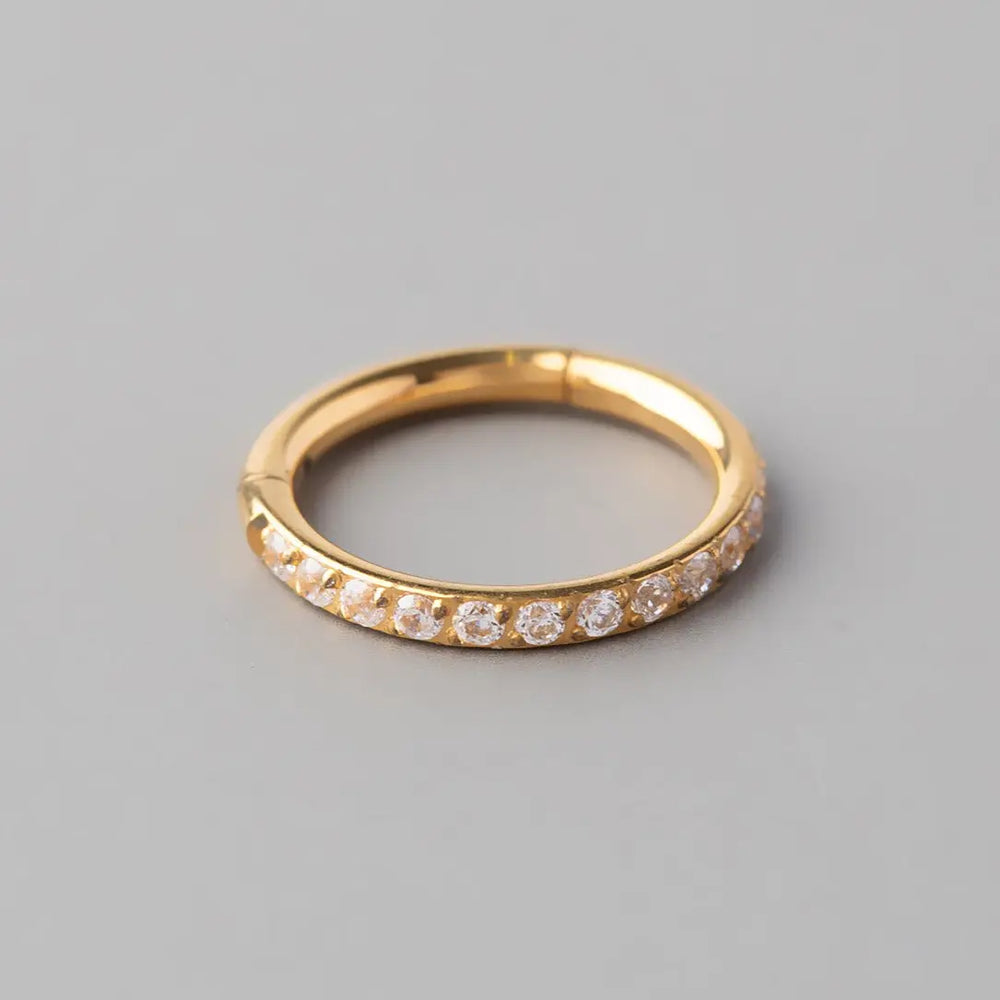 Hinged Segment Ring Clear CZ Side Face in Gold - Titanium