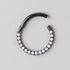 Hinged Segment Ring Front Face CZ in Black - Titanium - Camden Body Jewellery