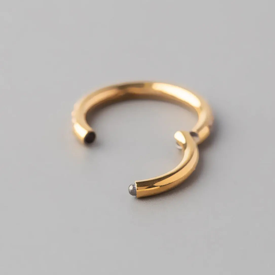 Hinged Segment Ring Clear CZ Side Face in Gold - Titanium - Camden Body Jewellery
