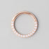 Hinged Segment Ring Front Face CZ in Rose Gold - Titanium - Camden Body Jewellery