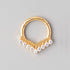 Majestic Chevron Sparkle Segment Hoop in Gold - Titanium - Camden Body Jewellery