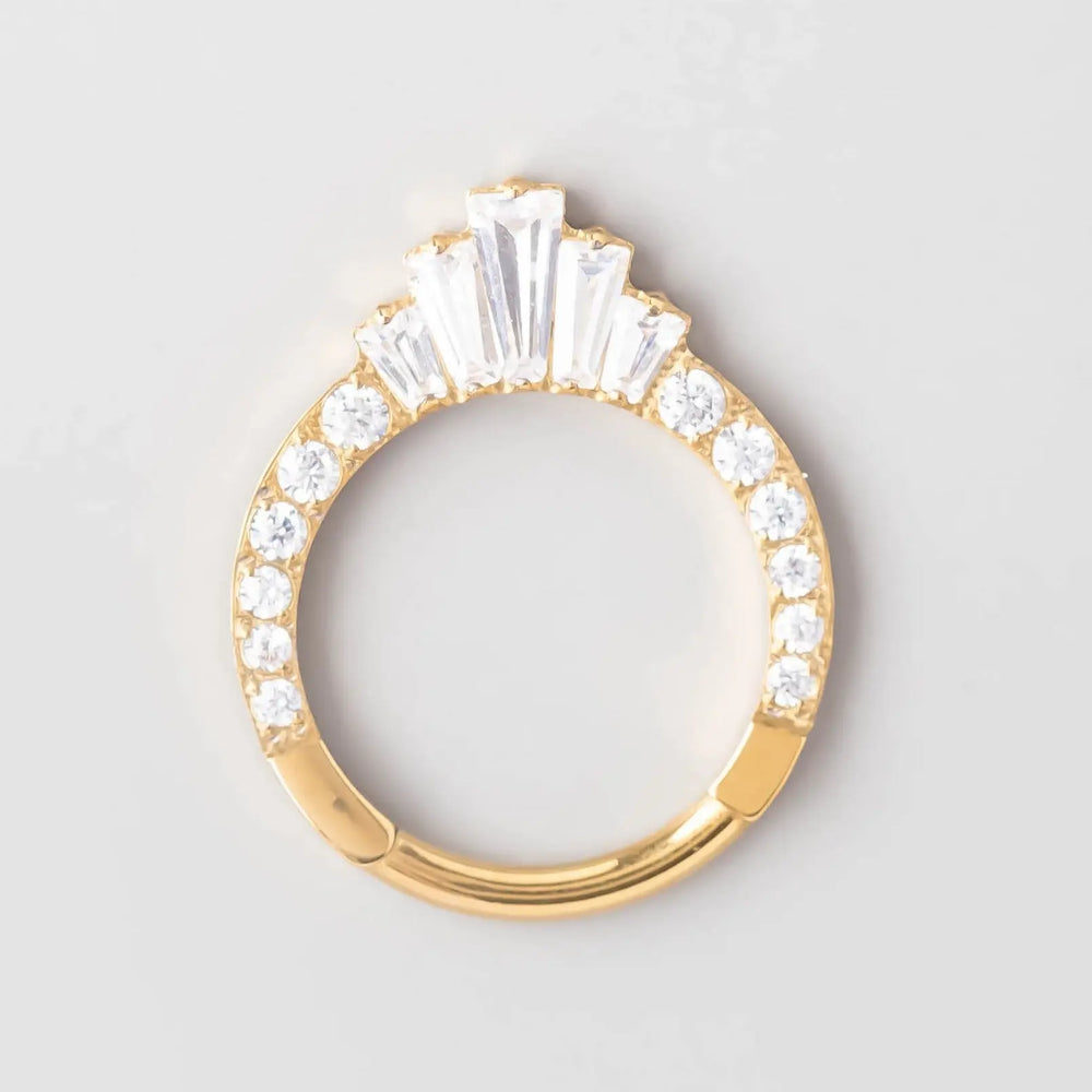 CZ Faced Hinged Segment Ring in Gold - Titanium