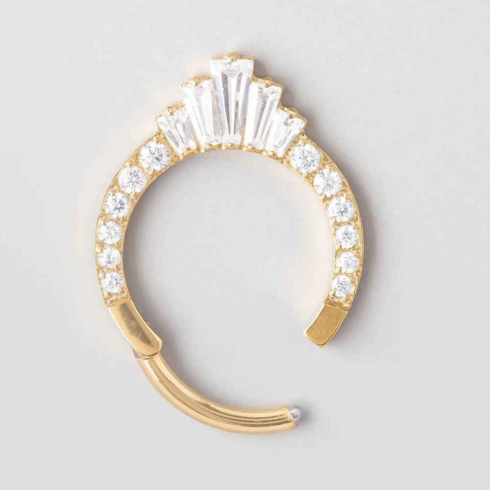 CZ Faced Hinged Segment Ring in Gold - Titanium