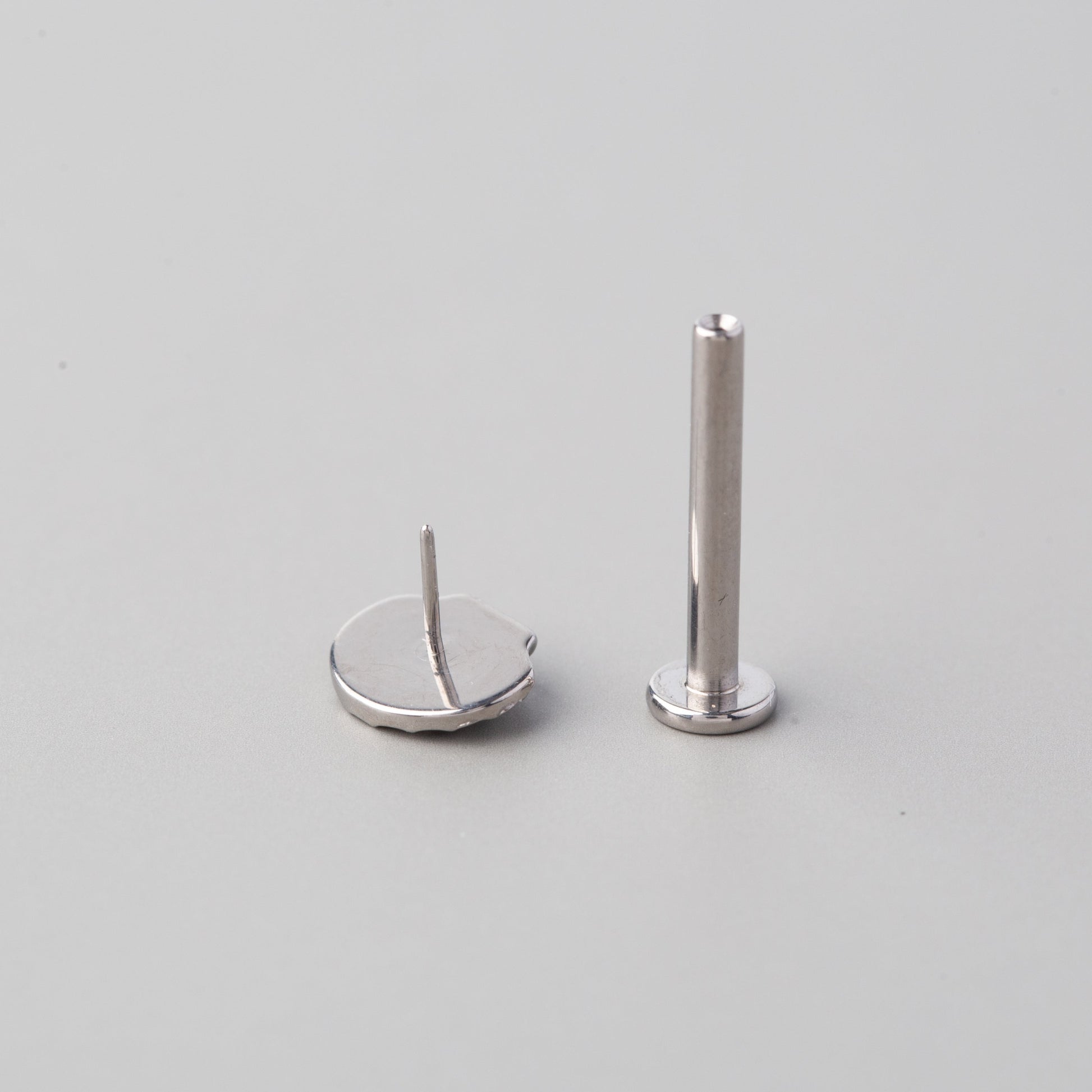 Scallop Threadless Labret in Silver - Titanium - Camden Body Jewellery