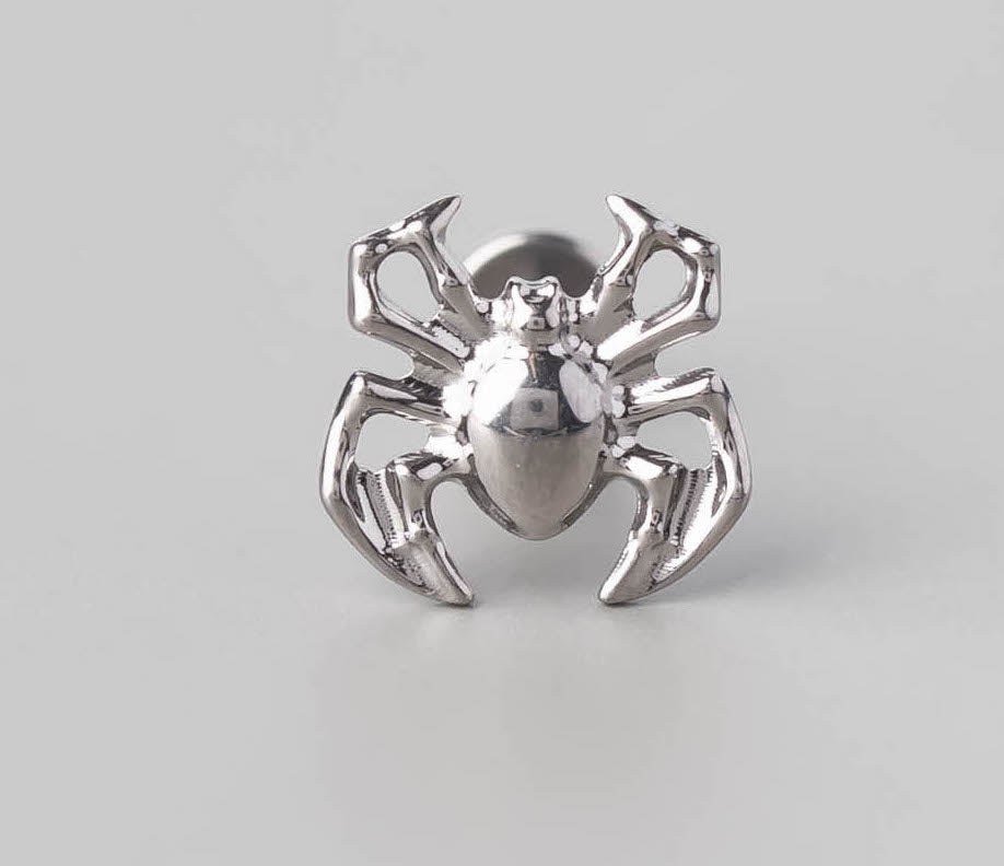 Spider Set Labret in Silver - Titanium - Camden Body Jewellery