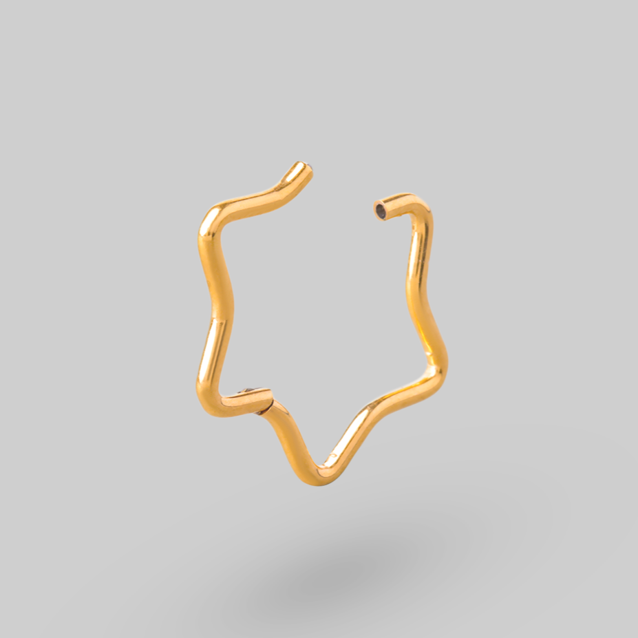 Star Shape Hinged Segment Ring in Gold - Titanium