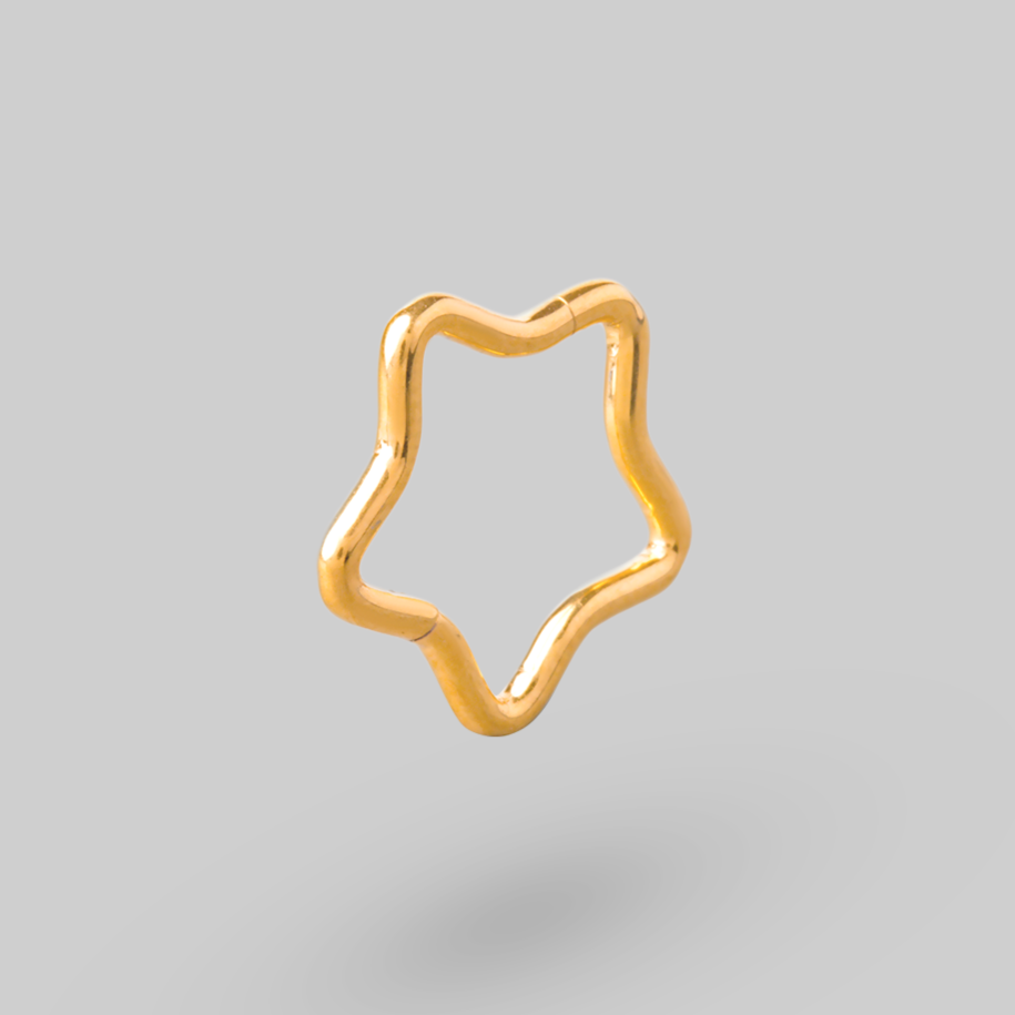 Star Shape Hinged Segment Ring in Gold - Titanium - Camden Body Jewellery