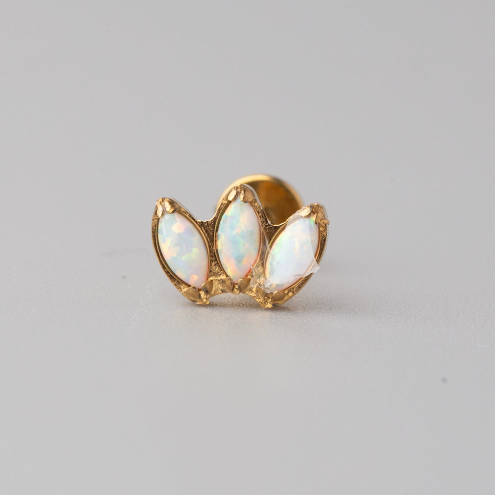 Triple Marquise White Opal Labret in Gold - Titanium